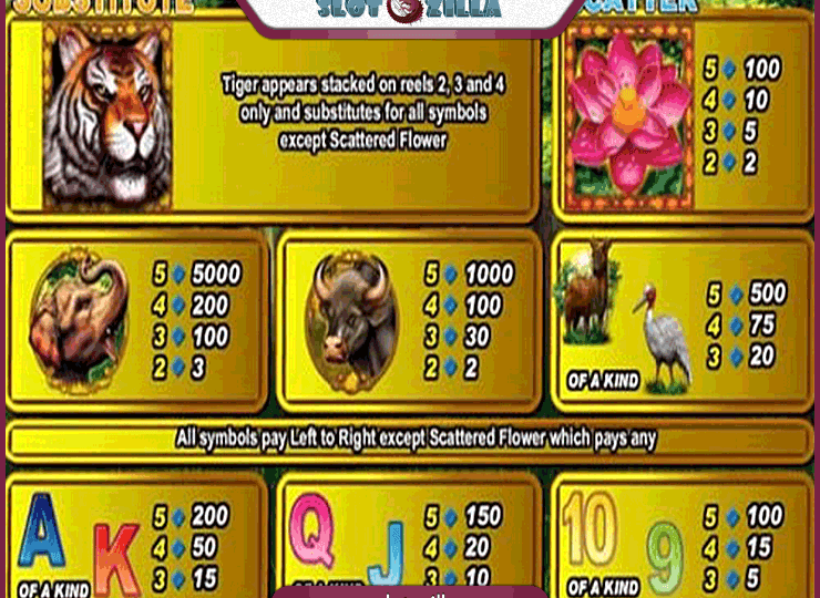 King Tiger Play in Demo Mode – Free