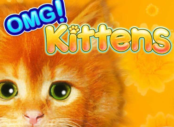 Omg Kittens Play in Demo Mode – Free